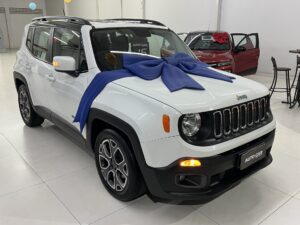 RENEGADE 2016 03.jpg