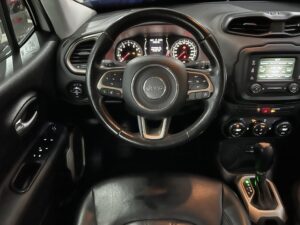 RENEGADE 2016 07.jpg