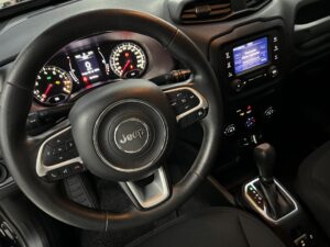 RENEGADE 2019 04.jpg